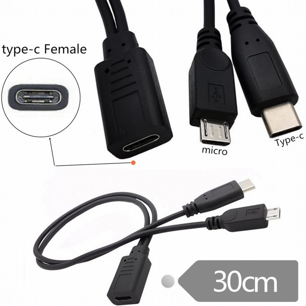 Chenyang Type-C USB-C Female to USB-C Type C USB 3.1 & Micro USB Male Splitter Extension Charge Cable U2-069-TC001
